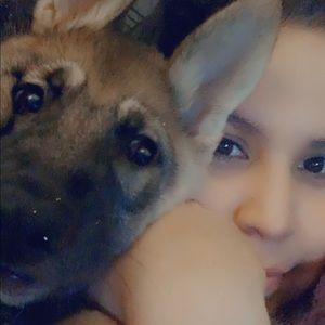 Meet your Posher, Bella